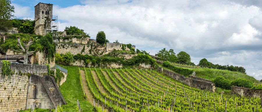 Anbaugebiet Bordeaux
