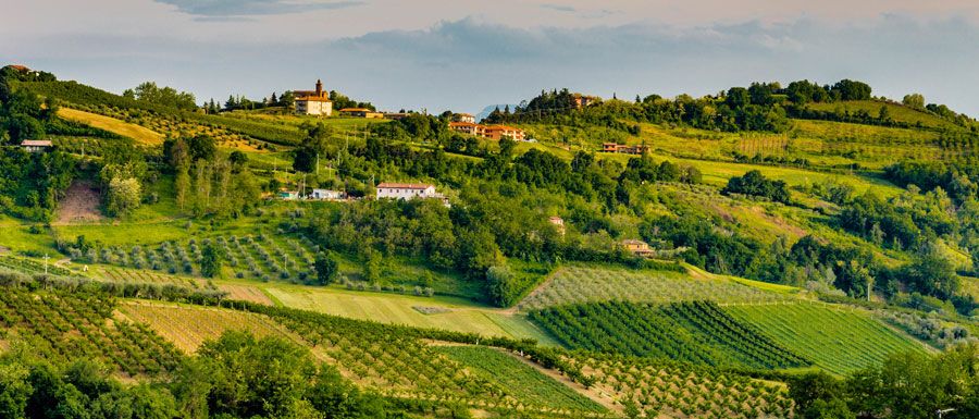 Anbaugebiet Emilia Romagna